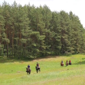 Dovolená na koni: Stezkami k Baltskému moři