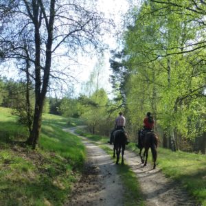 Dovolená na koni: Stezkami k Baltskému moři