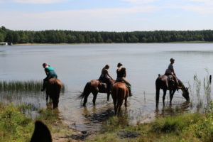 Dovolená na koni: Stezkami k Baltskému moři
