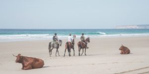 Dovolená na koni: Maktub pláže