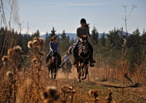 Dovolená na koni: Orfeus Trail