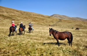 Dovolená na koni: Balkánský horský trail