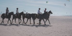 Dovolená na koni: Maktub pláže