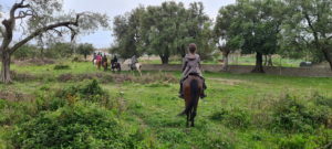 Dovolená na koni: Stezkami armády krále Skerdilajda