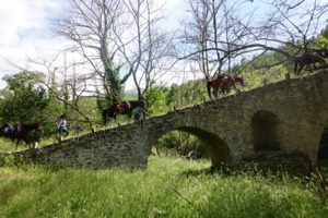 Dovolená na koni: Zagoria Trail