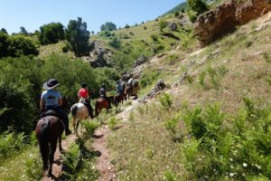 Dovolená na koni: Zagoria Trail