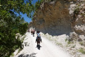 Dovolená na koni: Zagoria Trail