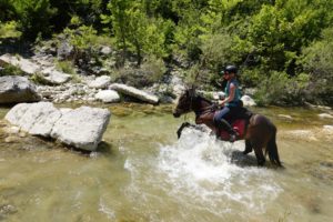 Dovolená na koni: Zagoria Trail