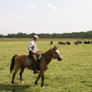 Dovolená na koni: Národní Park Arusha