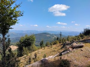 Reference: Balkánsky horský trail