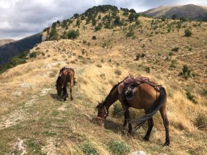 Reference: Zagoria Trail Albánsko