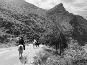 Reference: Zagoria Trail Albánsko