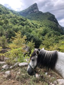 Reference: Zagoria Trail Albánsko