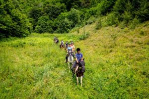 Dovolená na koni: Bosna – denní výlety z ranče