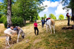 Dovolená na koni: Bosna – denní výlety z ranče