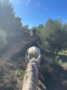 Dovolená na koni: Středověké Katalánsko