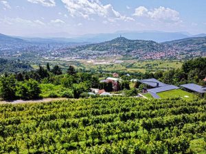 Dovolená na koni: Vinné stezky Hercegoviny