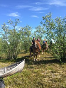 Dovolená na koni: Trail v divočině Laponska