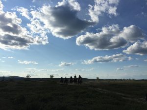 Dovolená na koni: Trail v divočině Laponska