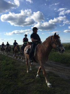 Dovolená na koni: Trail v divočině Laponska