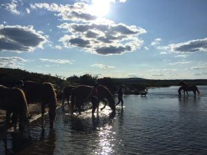 Dovolená na koni: Trail v divočině Laponska