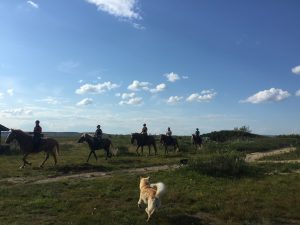 Dovolená na koni: Trail v divočině Laponska