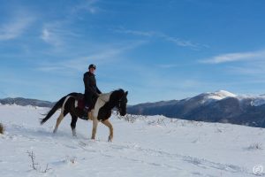 Dovolená na koni: „Ride and Ski“
