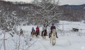 Dovolená na koni: „Ride and Ski“