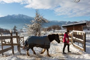 Dovolená na koni: „Ride and Ski“