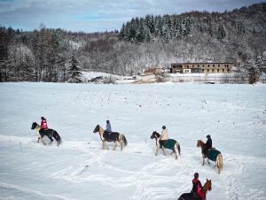 Dovolená na koni: „Ride and Ski“