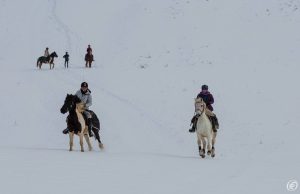 Dovolená na koni: „Ride and Ski“