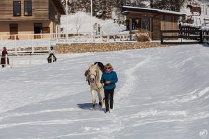 Dovolená na koni: „Ride and Ski“