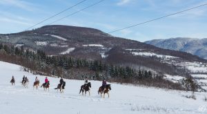 Dovolená na koni: „Ride and Ski“