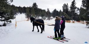 Dovolená na koni: „Ride and Ski“