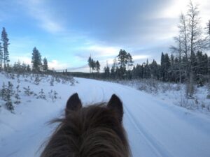 Dovolená na koni: Zimní ježdění ve švédském Laponsku