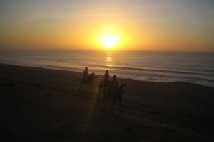 Dovolená na koni: Agadir Sable d´Or