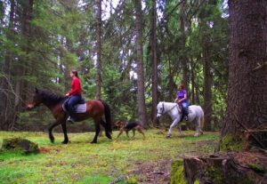 Dovolená na koni: Zlatar Trail