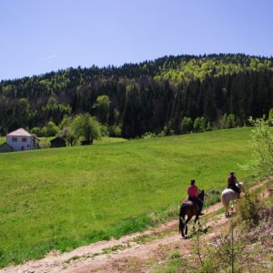 Dovolená na koni: Zlatar Trail