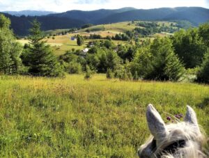 Dovolená na koni: Zlatar Trail