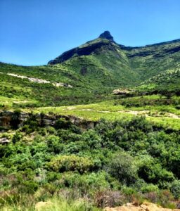 Reference: Moolmanshoek