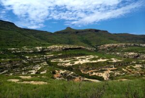 Reference: Moolmanshoek
