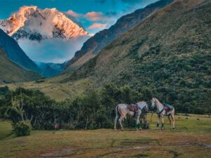 Dovolená na koni: Machu Picchu Trail